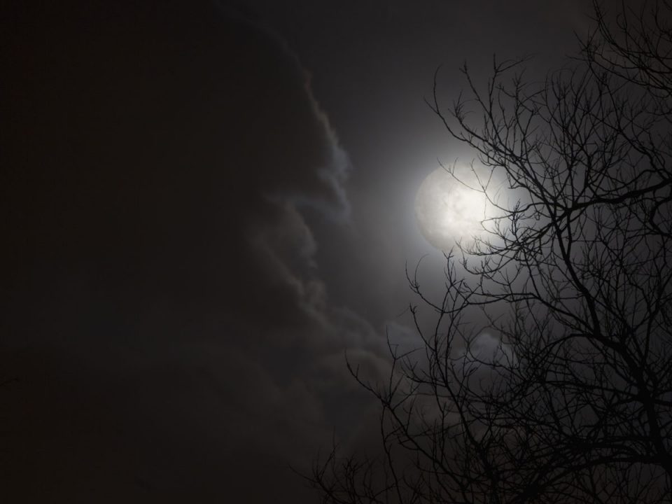 Full moon in night sky with clouds and silhouette of trees.